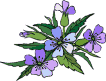 Blue flowers gif
