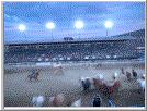 Rodeo