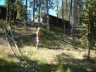 thm_CABIN1.jpg